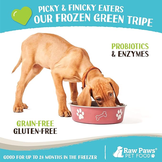Raw Paws Signature Pet Food for Dogs & Cats - Green Beef Tripe, 1-lb Rolls (20 Pack) - Fresh Pet Food Made in USA, Green Beef Tripe Dog Food - Natural Dog Food Rolls, Raw Frozen Dog & Cat Food