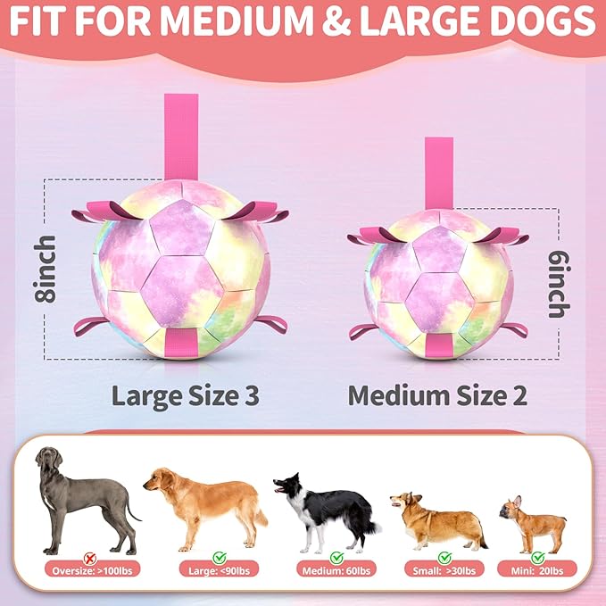 QDAN Premium Dog Toys Soccer Ball with Straps, Puppy Balls for Small Medium Dogs, Dog Water Toys Pool Toys, Puppy Dogs Pet Birthday Gifts, Rainbow（6 Inch）