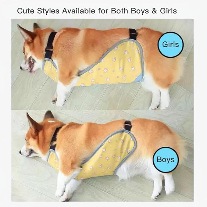 Waterproof Belly Shield for Corgis & Dachshunds – Adjustable underbelly Protector. Male/Female Designs. Stays Dry in rain, mud & Grass. Ideal for Sensitive Skin (Yellow - Female, L)