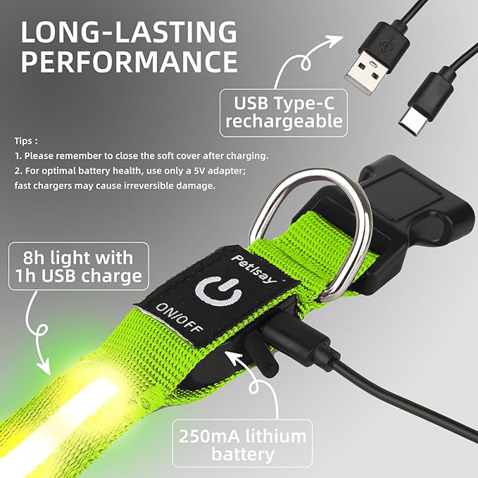 Super Bright LED Dog Collar - Fully Waterproof & Adjustable Glow Collar - USB-C Rechargeable for Night Walking, Safety - Flashing Lighted Collar for Dogs(Green,L)
