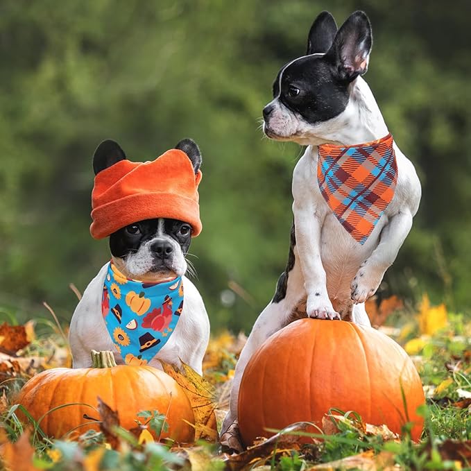 SCENEREAL Thanksgiving Dog Bandanas 2 Pack, Puppy Fall Orange Turkey Triangle Bibs Handkerchief, Reversible Holiday Dog Bandana for Boy and Girl, Premium Pet Scarf for Small Medium Large Dogs XL