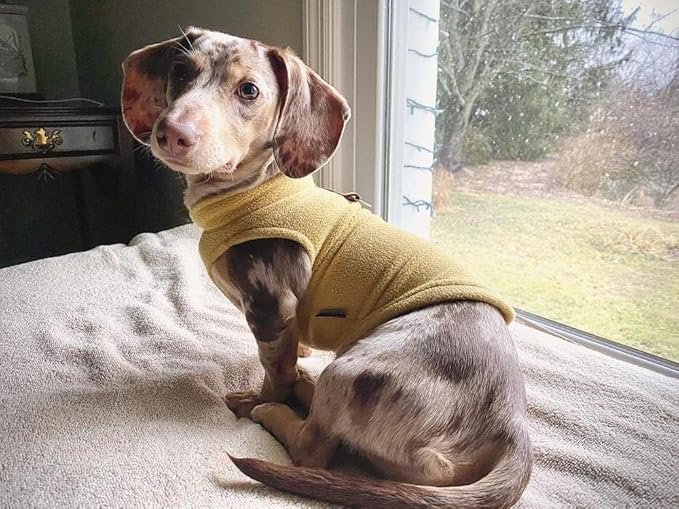Gooby - Fleece Vest, Small Dog Pullover Fleece Jacket with Leash Ring, Honey Mustard, Medium