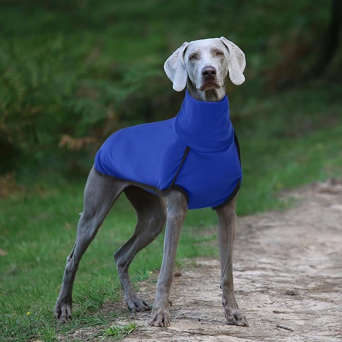 ROZKITCH Fleece Dog Sweaters for Small Dogs Male Female, Pet Windproof Warm Cold Weather Jacket Vest Cozy Jumpsuit Apparel Outfit Clothes for Walking Hiking Travel Sleep Blue XXS