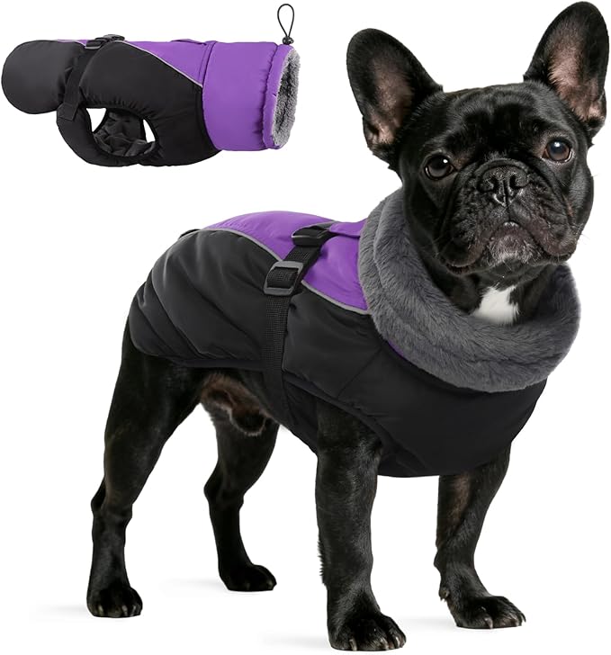 IDOMIK Dog Winter Coat, Reflective Waterproof Dog Jacket for Cold Weather, Warm Pet Coats for Small Medium Large Dogs, High Collar Doggy Fleece Snow Jacket, Winter Vest with Adjustable Buckle,M