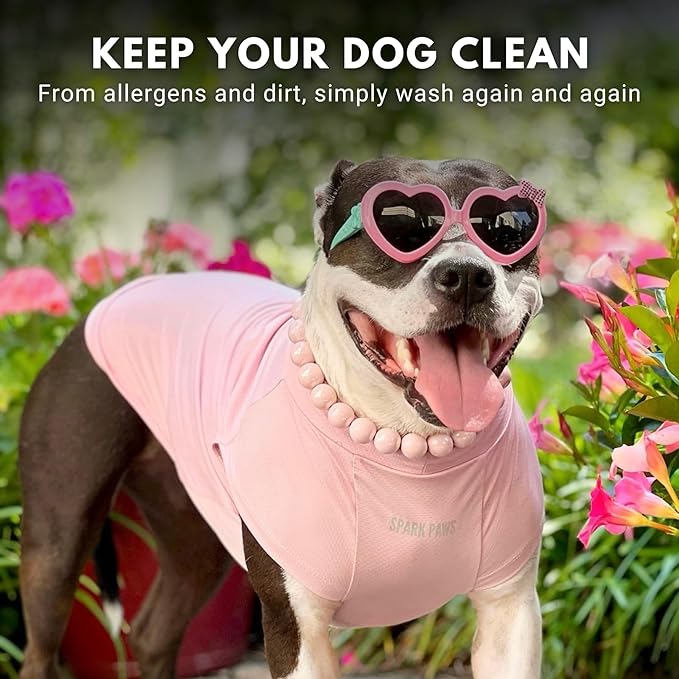 Spark Paws Sunblock Dog T-Shirt, SPF30 Protection, Lightweight Breathable Quick Dry for Dogs with Sensitive Skin - Purple & Pink (Set of 2) - 4XL