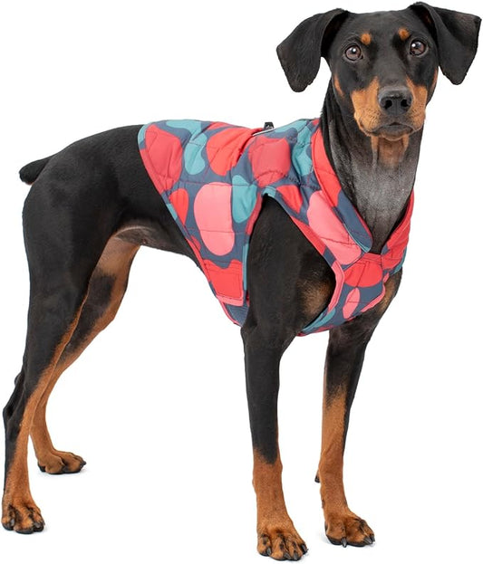 Kurgo Loft Dog Jacket - Reversible Cozy Coat for Outdoor Adventures - Water Resistant - Athletic Fit - Machine Washable Fabric - Reflective Dog Gear - Small - Lava Lamp