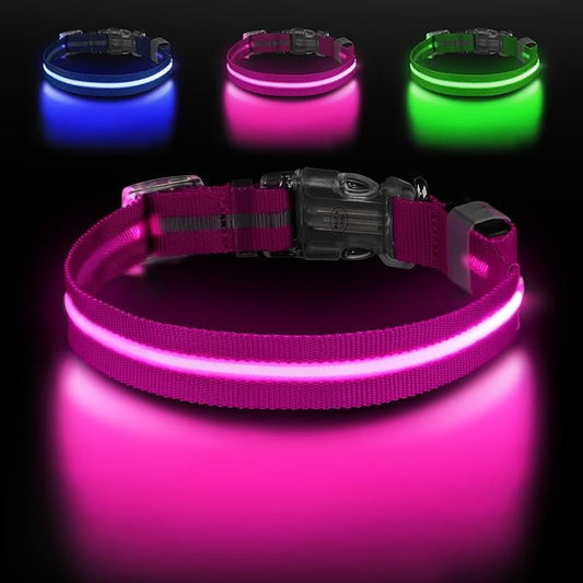 Light Up Dog Collar, Adjustable USB Rechargeable Glow in Dark Dog Collar ，Waterproof Dog Collars for Small Dogs (Pink, Small)