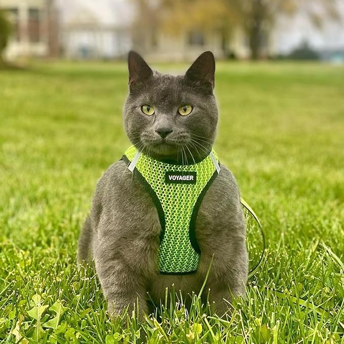 Best Pet Supplies Voyager Step-in Air Harness - All Weather Mesh, Reflective, No Pull Harness for Dogs, Cats - Secure with Hook & Loop Fastener, Buckle, Double D-Rings - Tone, XL