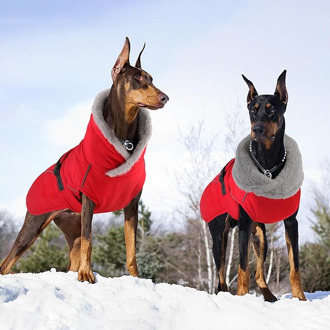 Dog Coat, Waterproof Dog Winter Jacket with Adjustable Buckle, Reflective Turtleneck Pet Snow Vest Warm Fleece Sweater for Small Medium Large Dogs - Red, S
