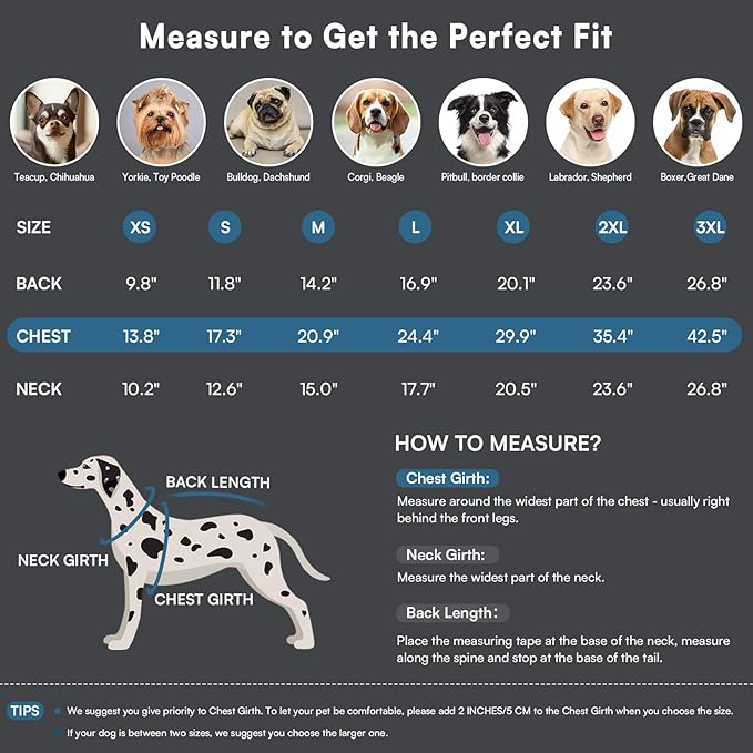 Queenmore Dog Coat,Windproof Dog Coat for Medium Dogs,Dogs Jackets with Harness Built in,Waterproof Doggy Coats with Zipper On Back,Reflective Cold Weather Coats for Dachshund，Boston Terrier,Blue,M