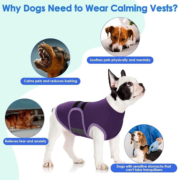 MIGOHI Dog Anxiety Relief Coat,Comfort Anxiety Vest for Dogs,Adjustable Dog Anxiety Calming Wrap for Fireworks,Thunderstorms,Travel,Separation,Anxiety Jacket for Small Dogs,S,Purple