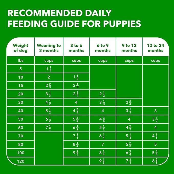 IAMS Proactive Health Large Breed Puppy Food with Real Chicken, 30.6 lb. Bag
