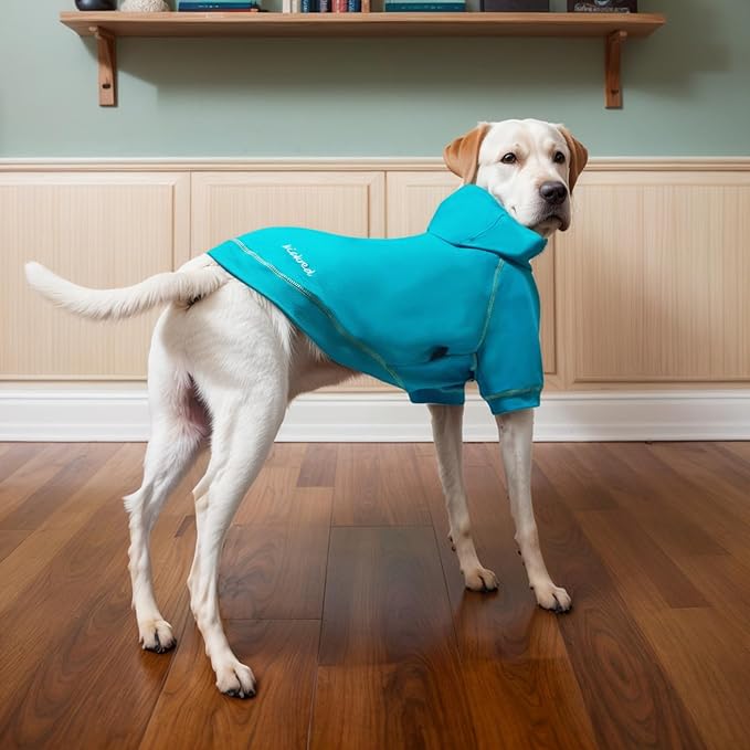 Basic Dog Hoodie Sweatshirts, Pet Clothes Hoodies Sweater with Hat and Leash Hole, Soft Cotton Outfit Coat for Small Medium Large Dogs, Royal Blue (Medium)