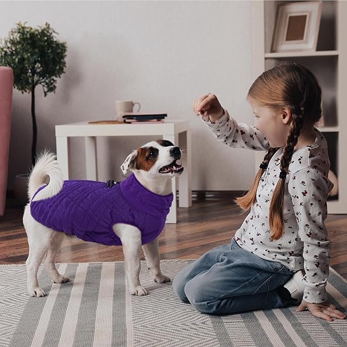 Kuoser Medium Dog Coat | All-Breed Thermal Wear with Windproof Layer | Reflective Tabs Enhance Visibility in Snow, Snap Buckles Simplify Dressing, Purple L