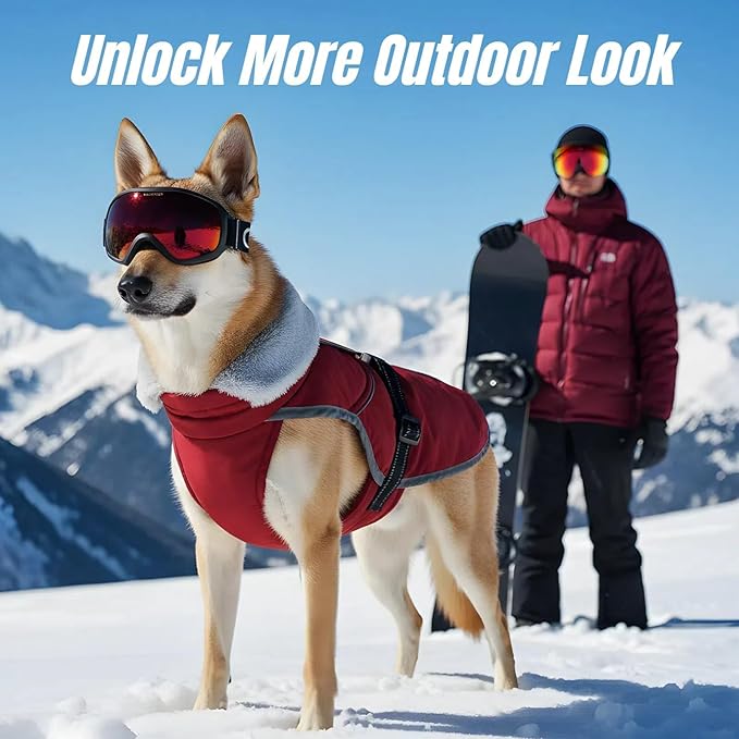 Insulated Dog Winter Jacket with 2 Layer Warmth, Hard Shell Pet Coat with Full-Body Reflective Strip, Waterproof & Thick Coats for Large Dogs with Leash Portal, Durable 3D Belly Cut Clothes(Wine, L)