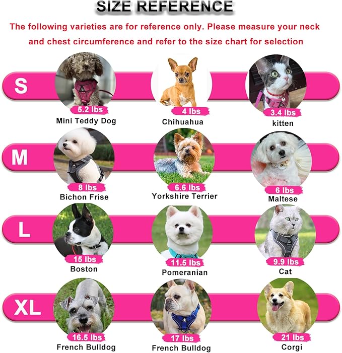 SOLMOONY Small Dog Harness,Soft Mesh Puppy Harness and Leash Set,No Escape Cat Harnesses for Training Walking,Reflective Adjustable Puppy Vest for Small Medium Dogs, Cats (Turquoise, M)