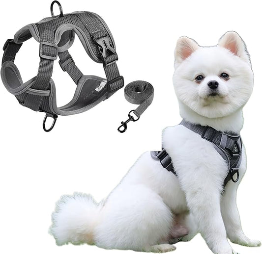 SOLMOONY Small Dog Harness,Soft Mesh Puppy Harness and Leash Set,No Escape Cat Harnesses for Training Walking,Reflective Adjustable Puppy Vest for Small Medium Dogs, Cats (Grey, M)