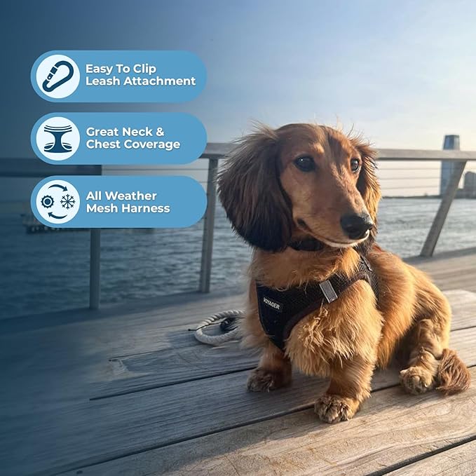Best Pet Supplies Voyager Step-in Air Harness - All Weather Mesh, Reflective, No Pull Harness for Dogs, Cats - Secure with Hook & Loop Fastener, Buckle, Double D-Rings - Black, XXS