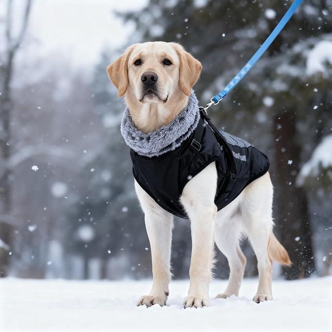 Dog Coat for Medium Large Dogs,Waterproof Reflective Dog Winter Jacket with Harness, Fleece Snowsuit,Warm Pet Winter Coat(Reflective blue-2XL)