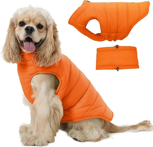 Medium Dog Jacket with Zipper, Hunter Orange Dog Coats for Medium Dogs, Warm Waterproof Winter Snow Puffer Vest for French Bulldog, Boston Terrier, Cocker, Beagle, Orange M