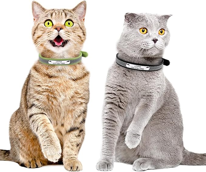 Personalized Reflective Cat Collars with Name Tag and Plated,Engraved Custom Cat Collar with Name and Phone,Kitten Collar with Safety Buckle Adjustable for Cats and Kitten(Red)