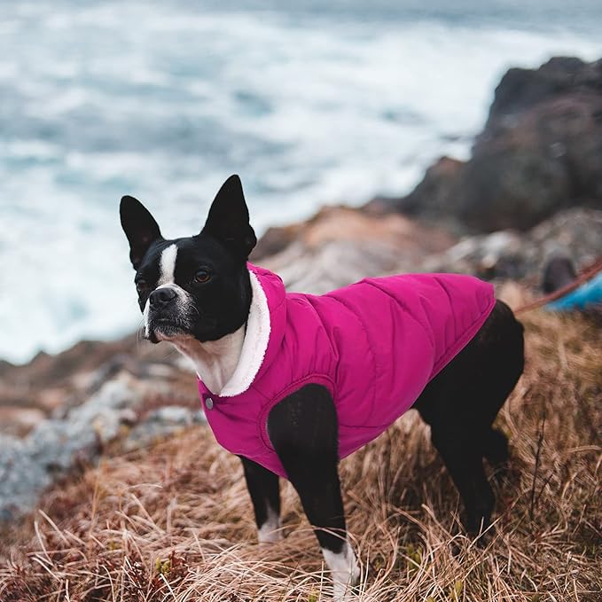 Fleece Hoodie, Windproof Waterproof Coat, Winter Warm Jacket, Cold Weather Pet Apparel Clothes Vest for Small Medium Large Dogs (M, Pink)