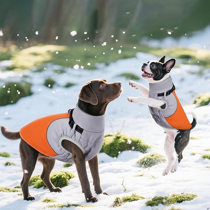 DENTRUN Dog Coat with Harness Built in, Adjustable Winter Dog Coat with Reflective Strips, Fleece Lined No Sleeves Jacket for Chihuahua, Orange, S