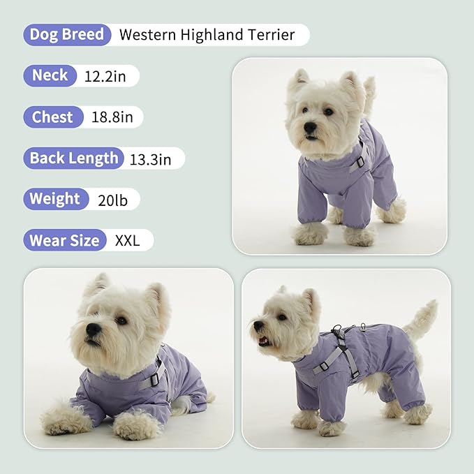BRKURLEG Dog Raincoat for Small Dogs, Small Dog Rain Jacket with Harness Built in, Waterproof 4 Legs Puppy Raincoats, Puppy Outdoor Jacket with Reflective Strip, Purple, XL