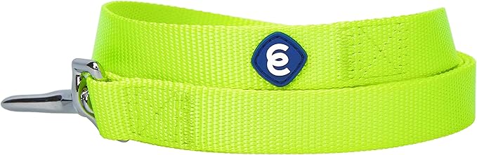 Blueberry Pet Essentials Highlighter Yellow Dog Leash for Large - 4' * 1" Dogs | Heavy Duty Nylon Lead | Lightweight Puppy & Cat Leash for Walking & Training