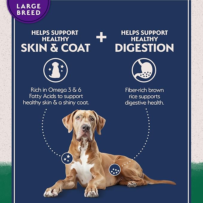 Natural Balance Limited Ingredient Large Breed Adult Dry Dog Food with Healthy Grains, Lamb & Brown Rice Recipe, 12 Pound (Pack of 1)