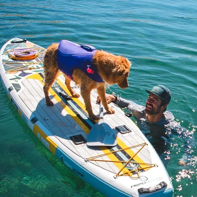 Ruffwear, Float Coat Dog Life Jacket, Premium Buoyancy Swim Vest with Lift Handle, Secure Fit & Reflective Trim, Adjustable Flotation for Swimming, Boating, & Outdoor Adventures, Purple Lily, XX-Small