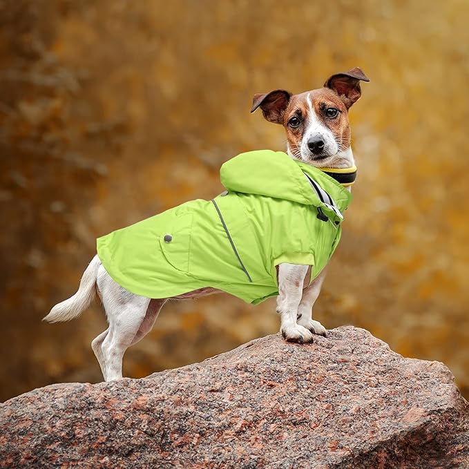 Dog Raincoat Waterproof Raincoats Dog rain Jacket Buttons Zipper Hood Drawstring Suitable for Small Medium Yorkie Terrier Schnauzer Poodle Border Collie Labrador 8lbs to 80lbs Green XXL
