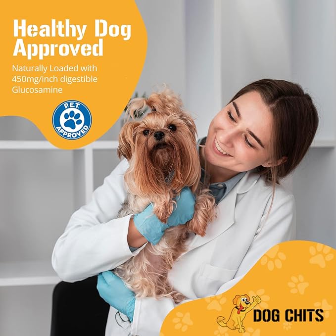 Dog Chits Pig Ears for Dogs – 100% Natural Baked Pig Ear Dog Treats & Training Chews – High Protein, Lower Fat, Grain-Free – Great for Puppies, Dental Support – Medium Size, 15 Pack – Made in USA