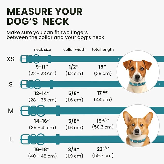 BRONZEDOG Rolled Leather Dog Collar for Small Medium Large Dogs with QR ID Tag (S: 12-14 Inch, Teal)