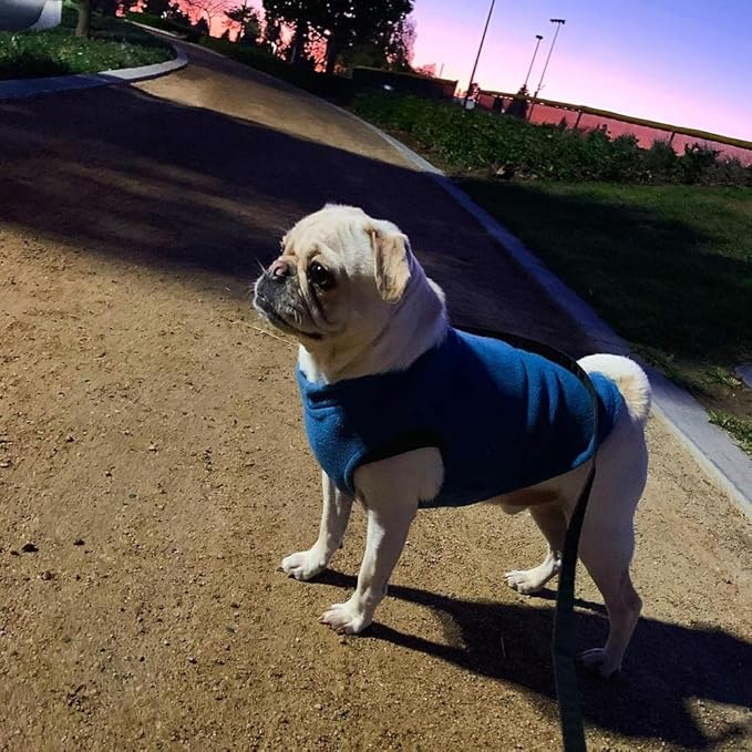Gooby - Stretch Fleece Vest, Pullover Fleece Vest Jacket Sweater for Dogs, Steel Blue, 2X-Large