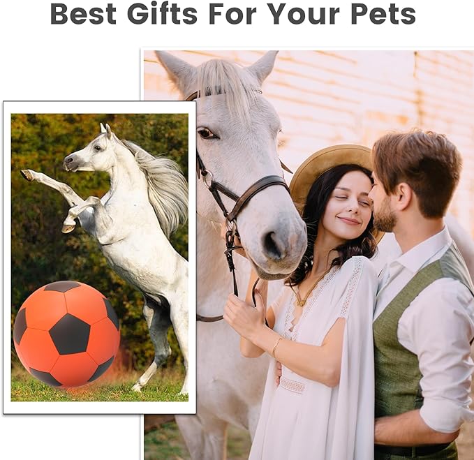 Diman Herding Ball for Dogs: 25 Inch Horse Balls for Outdoor Play, Giant Pet Toys Balls for Australian Shepherd, Dogs or Horses, Orange Black