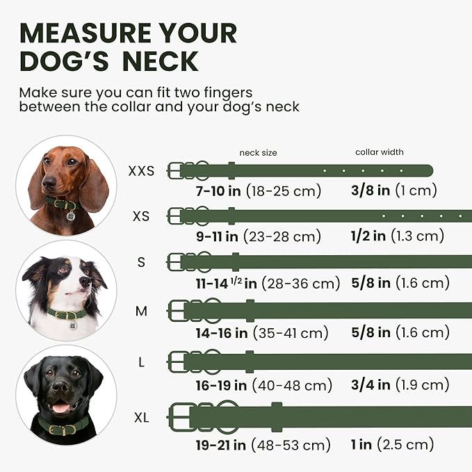 BronzeDog Rolled Leather Dog Collar with QR ID Tag, Adjustable Soft Round Collars for Small Medium Large Dogs Puppy (7" - 10" Neck Size, Emerald Green)