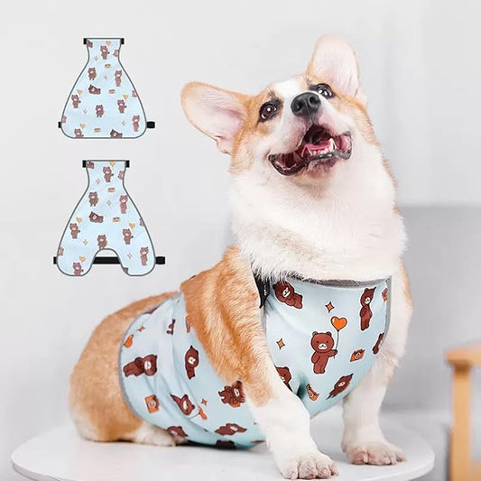 Waterproof Belly Shield for Corgis & Dachshunds – Adjustable underbelly Protector. Male/Female Designs. Stays Dry in rain, mud & Grass. Ideal for Sensitive Skin (Blue - Female, L)