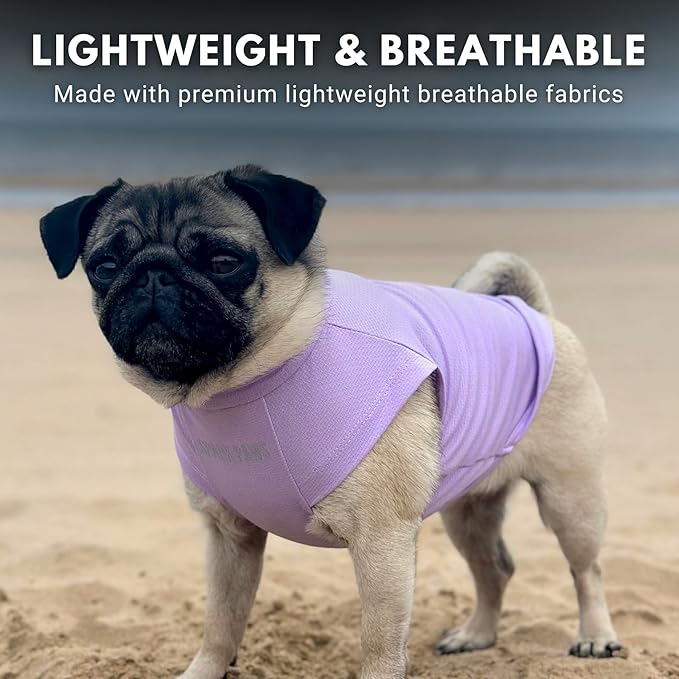 Spark Paws Sunblock Dog T-Shirt, SPF30 Protection, Lightweight Breathable Quick Dry for Dogs with Sensitive Skin - Purple & Peach (Set of 2) - 4XL