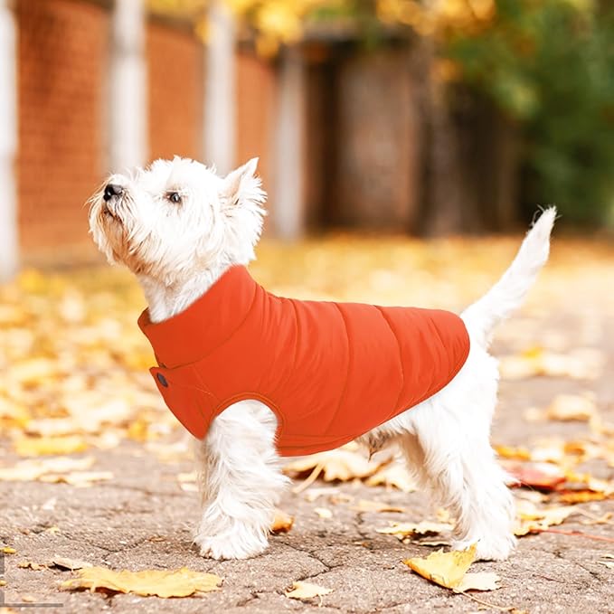 ASENKU Dog Winter Coat - Waterproof Windproof Dog Jacket, Warm Snowproof Doggie Puffer Vest for Cold Weather, Lightweight Snow Coats for Small Medium Large Dogs (Orange, XL)