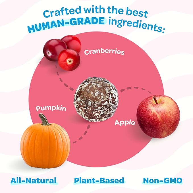 Cranberry, Pumpkin, & Apple Healthy Dog Treats - Vegan, Non-GMO, Human Grade - All Breeds, Sizes, & Ages - All Natural, Lean, Gluten-Free, Soft & Chewy - 6pk (108 Dog Treats Bulk)