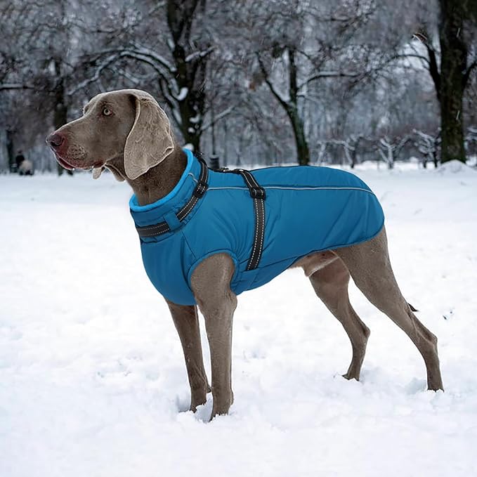 Lelepet Waterproof Dog Jacket with Harness Built in Warm Dog Winter Coat, Reflective Fleece Jacket Jacket, Dogs Coats for Small Dogs, Thermal Pet Snowsuit for Cold Weather Chihuahua, Maltese, Blue, XS