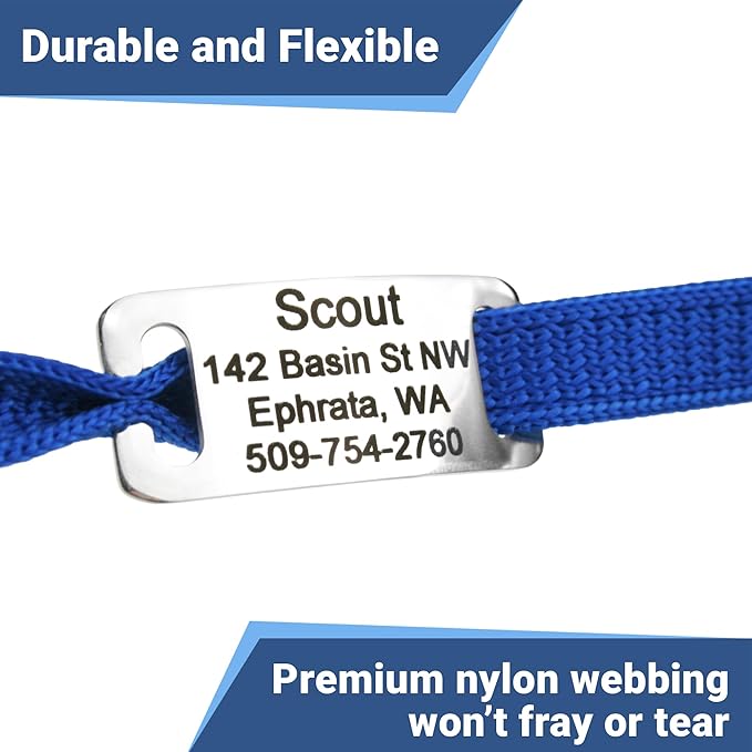 GoTags Personalized Cat Collars with Tag, Engraved Custom Cat Collar with Name and Phone, Breakaway Collar with Safety Buckle and Bell, Adjustable for Cats and Kitten (Orange with Nameplate)