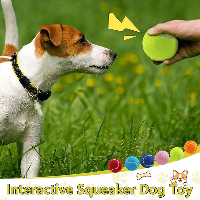 Swingers Squeaky Tennis Balls for Dogs,2.5 inch Training Tennis Balls,Exercise Ball for Pet Dog with Mesh Carry Bag Easy to Transport (Yellow, 60 Pack)