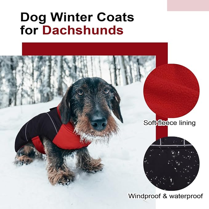 Lelepet Dachshund Coat Warm Dog Winter Coat Waterproof Dog Jacket with Fleece Lining, Reflective Outdoor Dachshund Snowsuit with Leash Hole Adjustable Neckline,Coats for Small Medium Dogs,Red, M