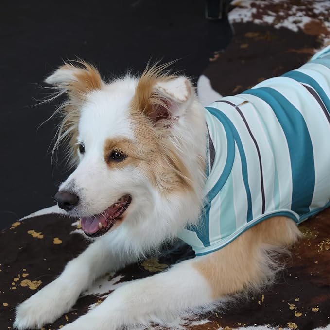 ROZKITCH Striped Dog Sweater with Leash Hole,Comfortable for Long Walks Outdoor Acticities, Soft Fleece Vest Pajamas for Giant Breeds Great Dane, English Mastiff, Tibetan Mastiff BlueStripe 4XL