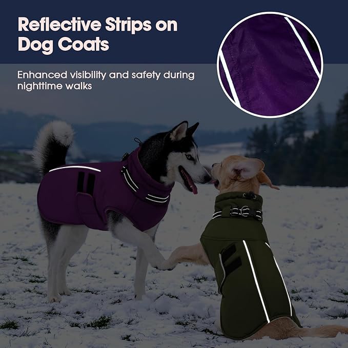 IECOii Small Dog Coat, Waterproof Dog Snow Jacket with Built in Collar, Thermal Fleece Lined for Cold Weather, Safety Reflective Dogs Winter Coat for Nighttime Walks, Easy On/Off, Purple - M