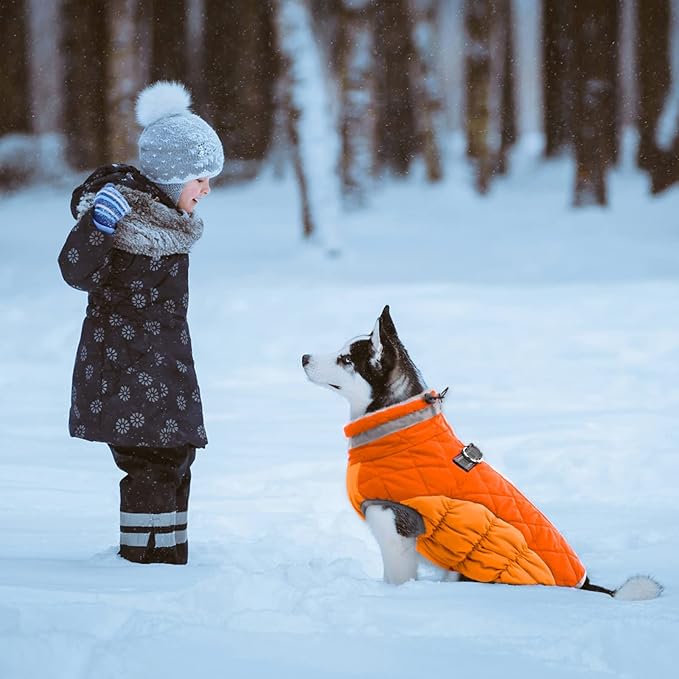 Lelepet Dog Coat Warm Dog Winter Coat Waterproof Dogs Jacket with Harness Built in Reflective Pet Fleece Vest Zip-Up Cold Weather Coats for Small Dogs Turtleneck & Windproof Chihuahua Blaze Orange XS