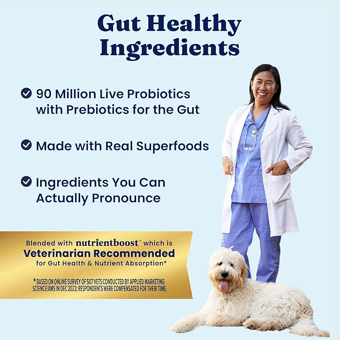Solid Gold Salmon Dog Food for Sensitive Stomachs – Grain Free & Gluten Free Kibble w/Probiotics to Support Gut Health & Digestion - Sensitive Stomach Dog Food for All Ages – Nutrientboost™ – 22 LB