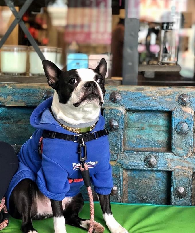 ChoChoCho Stylish Streetwear Blue Dog Sweatshirt Tracksuits, Cats Hoodies, Dog Outfit for Cat Puppy Small Medium (5XL)